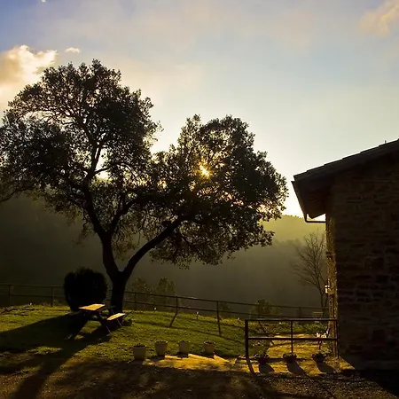 Holiday home Masia Ca L'anima *