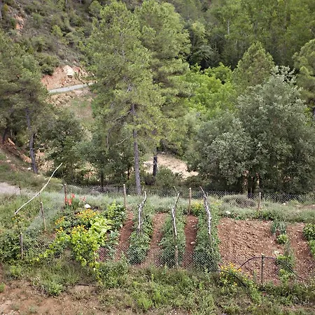 Masia Ca L'anima La Baronia de Rialb