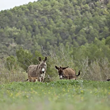Masia Ca L'anima